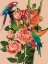 Picture of BIRD OF PARADISE