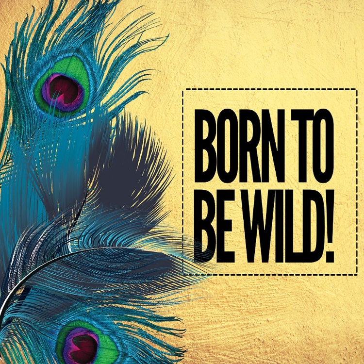 Picture of BORN TO BE WILD