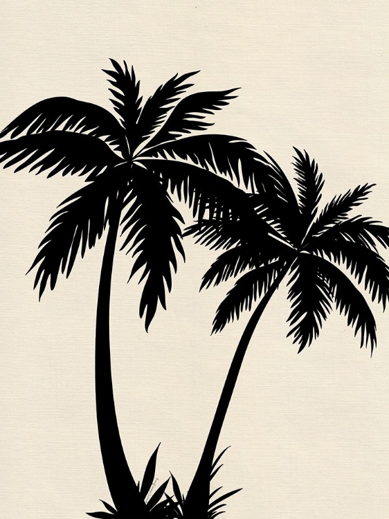 Picture of PALM TREES