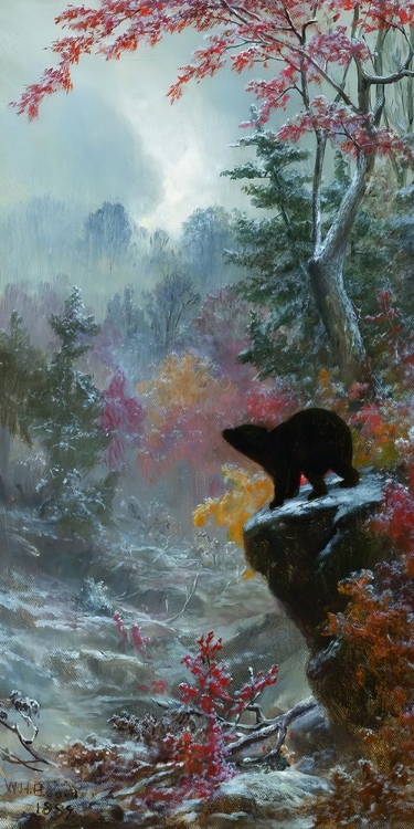 Picture of BEAR IN A WOODED LANDSCAPE