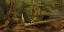 Picture of BEAR IN THE FOREST