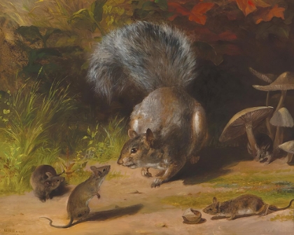Picture of SQUIRREL AND MICE