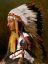 Picture of INDIAN CHIEF, 1890