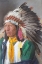 Picture of INDIAN CHIEF