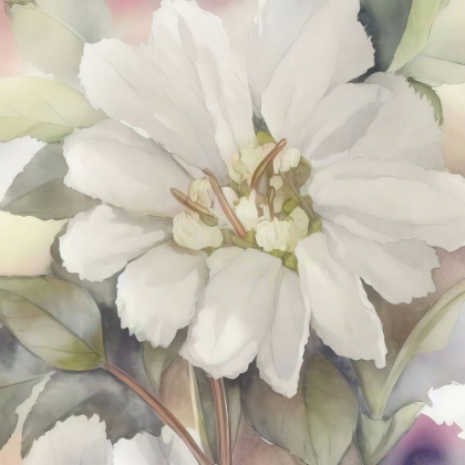 Picture of ELEGANT WHITE FLOWER 1
