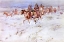 Picture of CREES COMING IN TO TRADE 1896