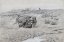 Picture of DEATH BATTLE OF BUFFALO AND GRIZZLY BEAR 1902