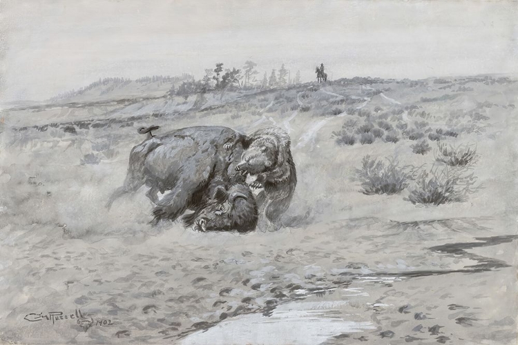 Picture of DEATH BATTLE OF BUFFALO AND GRIZZLY BEAR 1902
