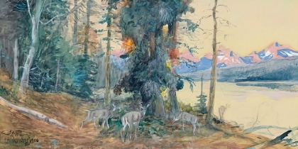 Picture of DEER AT LAKE MCDONALD 1906