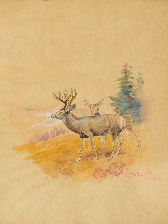 Picture of DEER 1917