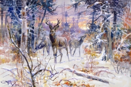 Picture of DEER IN A SNOWY FOREST 1906