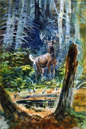 Picture of DEER IN THE DELL 1909