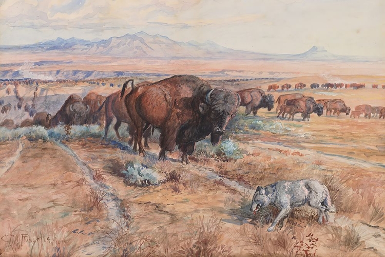 Picture of GUARDIAN OF THE HERD