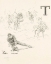 Picture of GUNMAN ROPED BY CUPID 1911