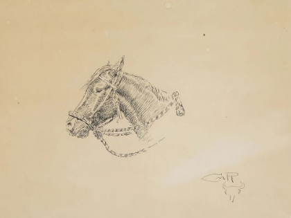 Picture of HORSE HEAD, LEFT SIDE