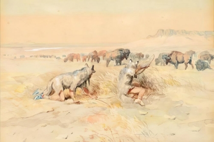 Picture of HUNTING BUFFALO 1898