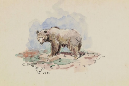 Picture of SMALL GRIZZLY 1925