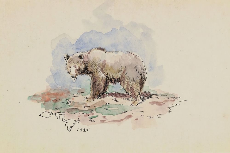 Picture of SMALL GRIZZLY 1925