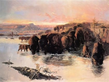 Picture of THE BUFFALO HERD 1895