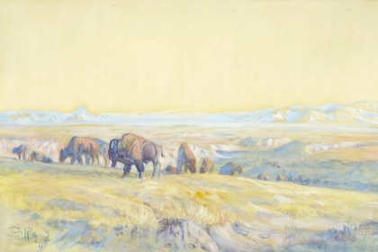 Picture of THE BUFFALO RANGE