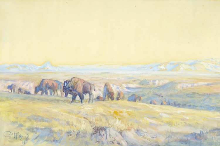 Picture of THE BUFFALO RANGE