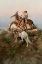 Picture of THE SCOUTS
