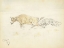 Picture of WOLF AND BULL