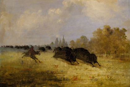 Picture of CADDO INDIANS CHASING BUFFALO|CROSS TIMBERS|TEXAS