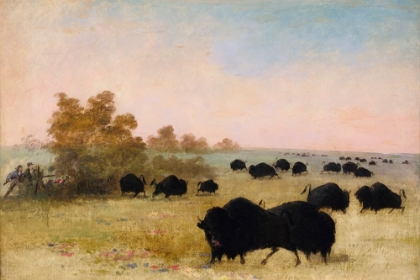 Picture of CATLIN AND PARTY STALKING BUFFALO|UPPER MISSOURI