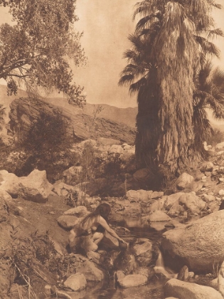 Picture of ANDRES CANYON 1924