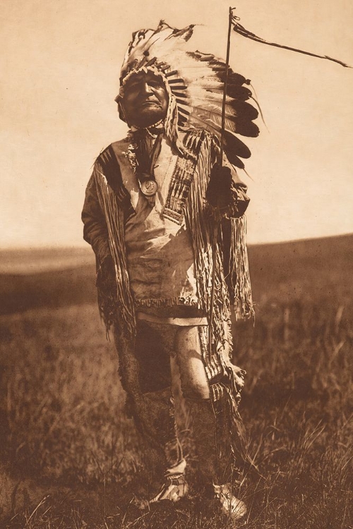 Picture of ARIKARA CHIEF 1908