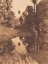 Picture of BEFORE THE WHITE MAN CAME - PALM CANYON 1924