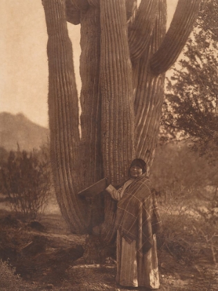 Picture of THE PIMA WOMAN 1907