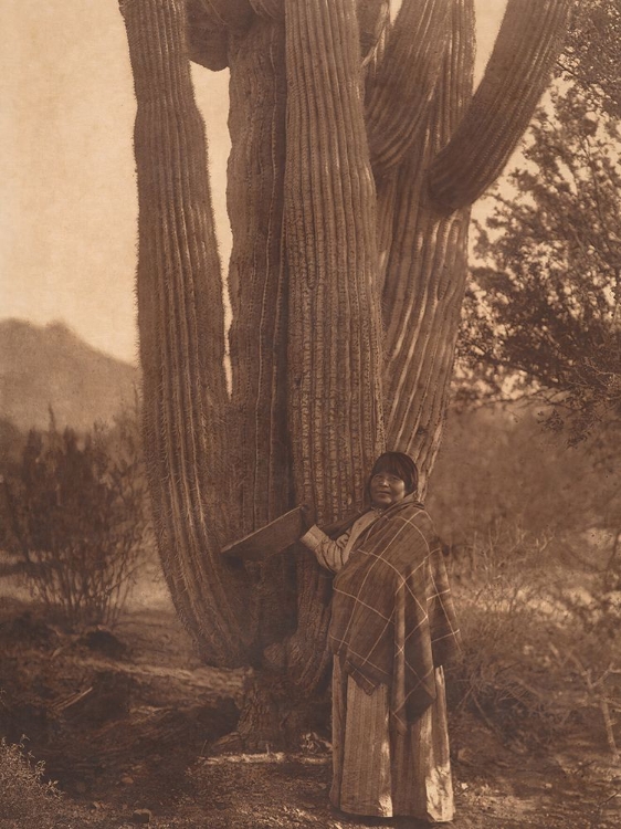 Picture of THE PIMA WOMAN 1907