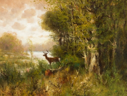 Picture of DEER IN FOREST
