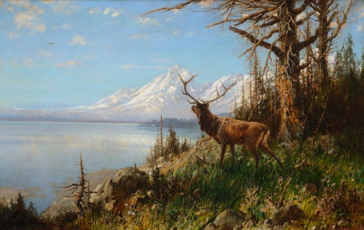 Picture of LAKE WYOMING