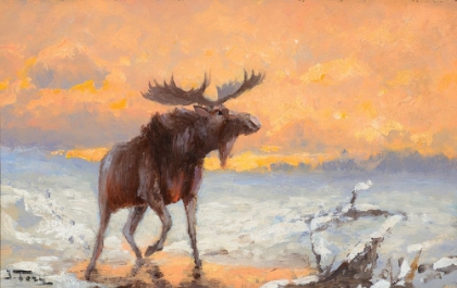 Picture of TWILIGHT MOOSE