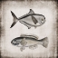Picture of VINTAGE SEA DWELLERS II