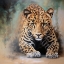 Picture of JUNGLE MAJESTY
