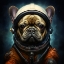 Picture of A DOG 2