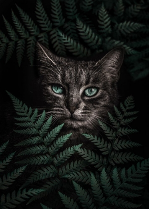 Picture of GREEN EYES CAT WITH FERNS