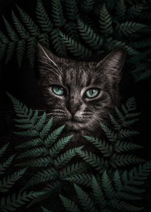 Picture of GREEN EYES CAT WITH FERNS