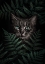 Picture of GREEN EYES CAT WITH FERNS