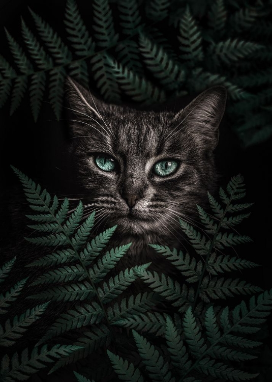 Picture of GREEN EYES CAT WITH FERNS