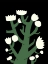 Picture of WHITE BLOOM