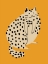 Picture of ORANGE PLUMP CAT