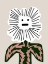 Picture of EMOJI BLOOM