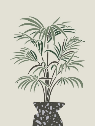 Picture of INDOOR POT PALM