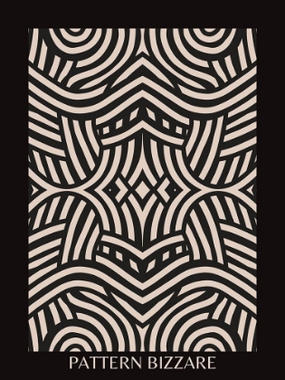 Picture of BLACK PATTERN BIZARRE 4