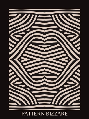 Picture of BLACK PATTERN BIZARRE